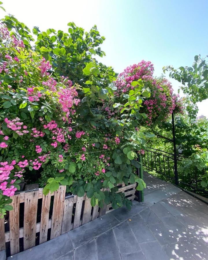 Olympia Garden Hotel Yerevan Exterior photo